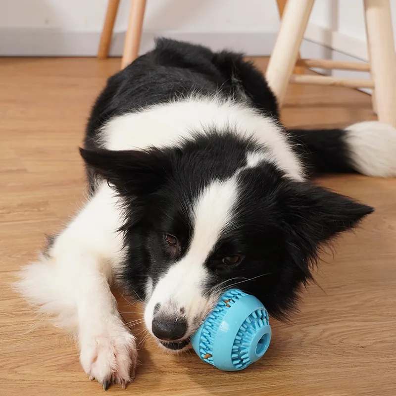 Bola de juguete para perros de goma de goma de limpieza de dientes