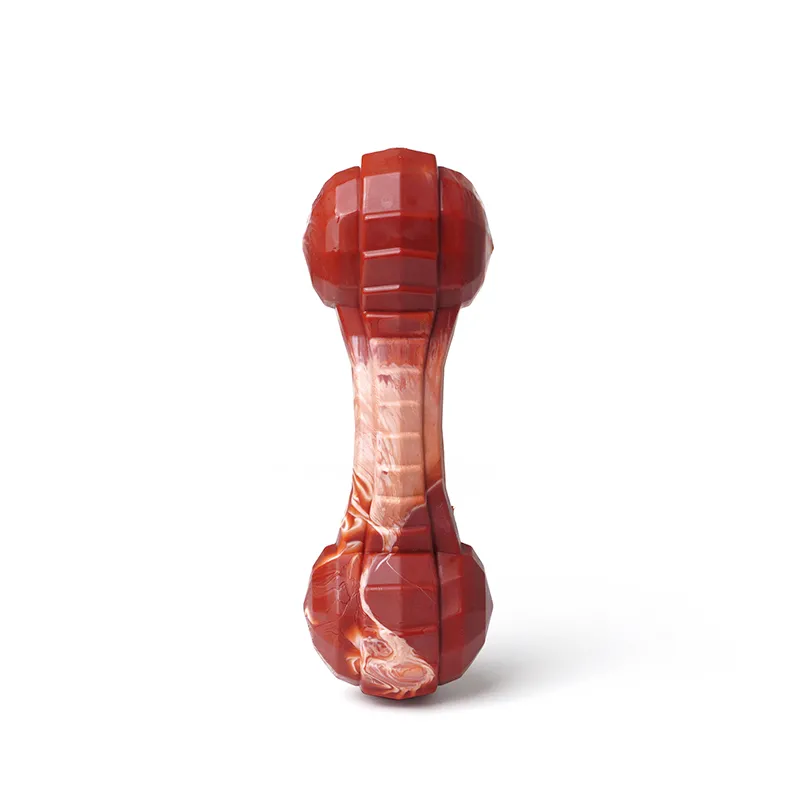 Dogs chew toy bones
